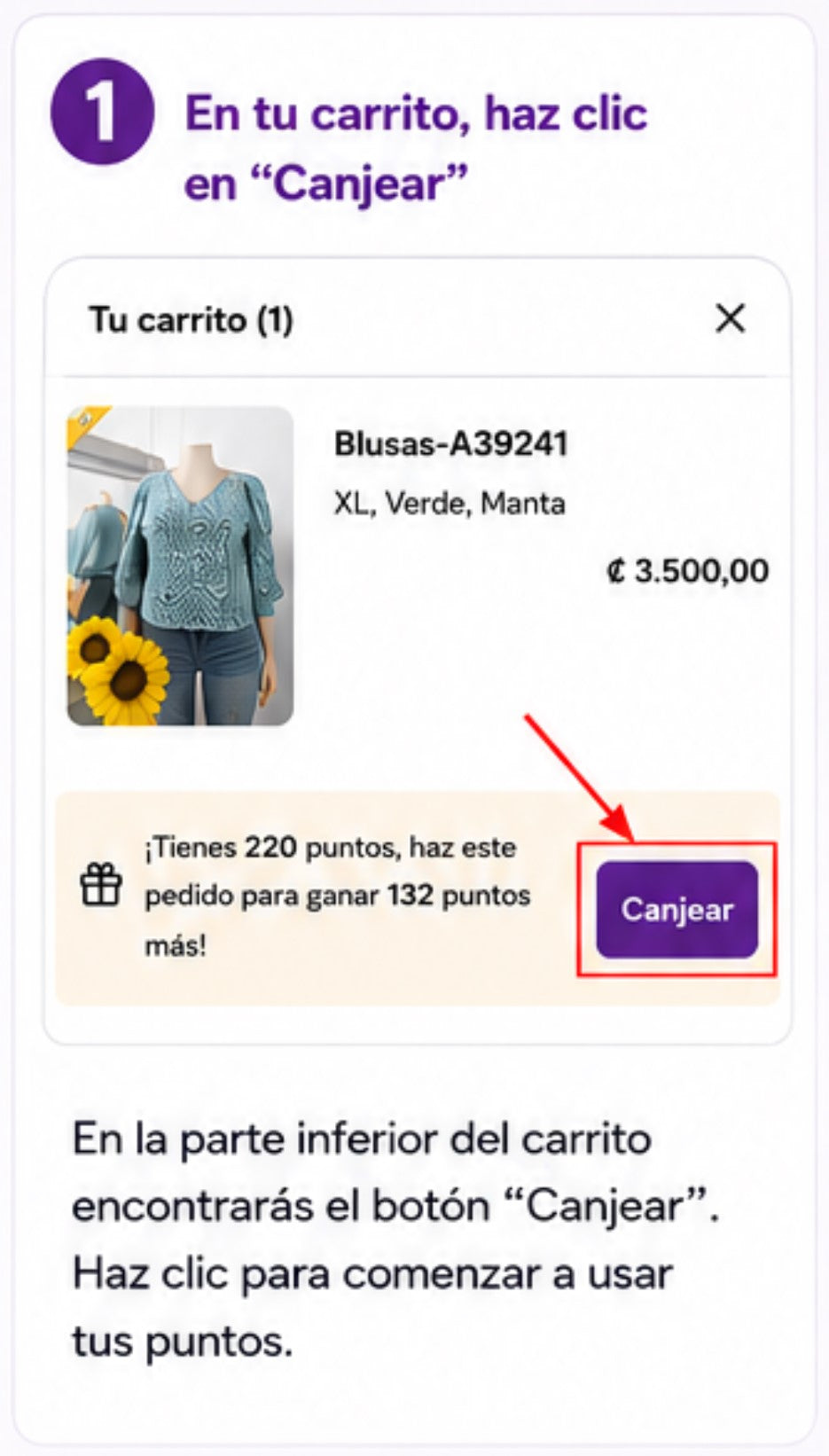 Megaropa Virtual