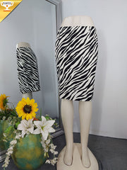 Falda-A24809