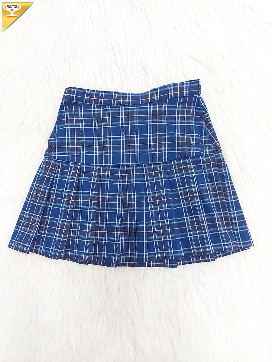 Falda-k1284